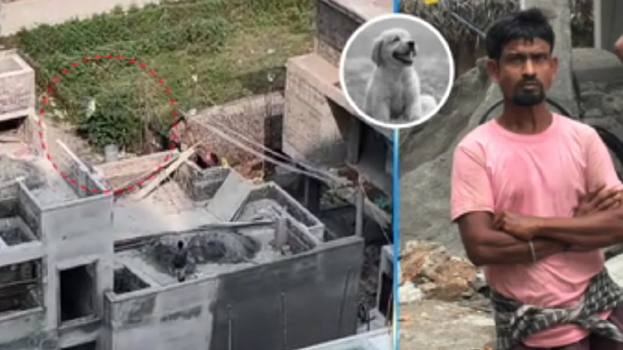 தாம்பரம் அருகே நாய்க்குட்டிகளை கொன்ற வடமாநில தொழிலாளி மீது வழக்குப்பதிவு!