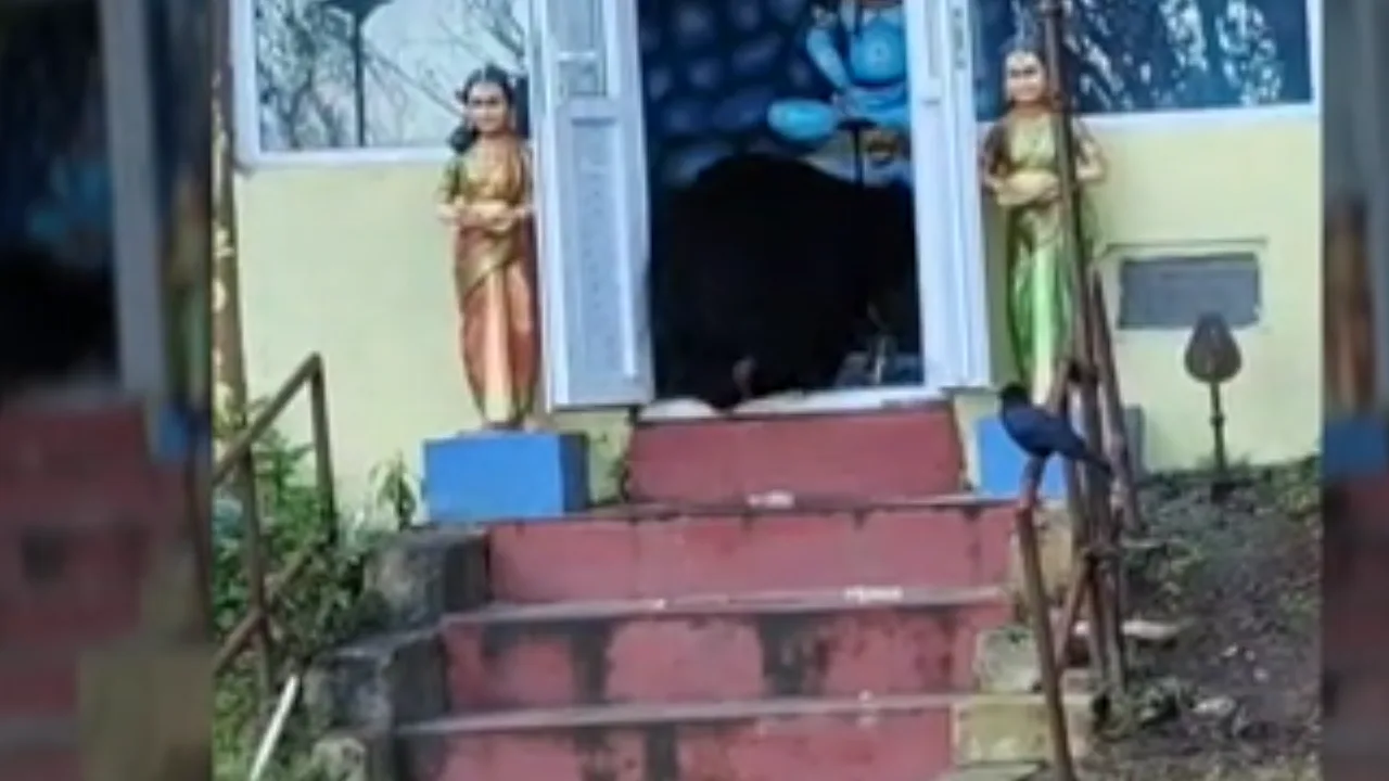 உதகை : கோயிலுக்குள் நுழைந்த கரடி – பக்தர்கள் அச்சம்!