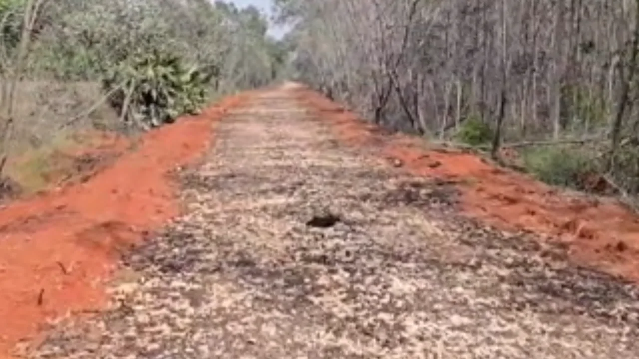 சிவகங்கை : 5 மாதங்கள் ஆகியும் நிறைவு பெற்ற சாலை பணிகள் – கிராம மக்கள் அவதி!