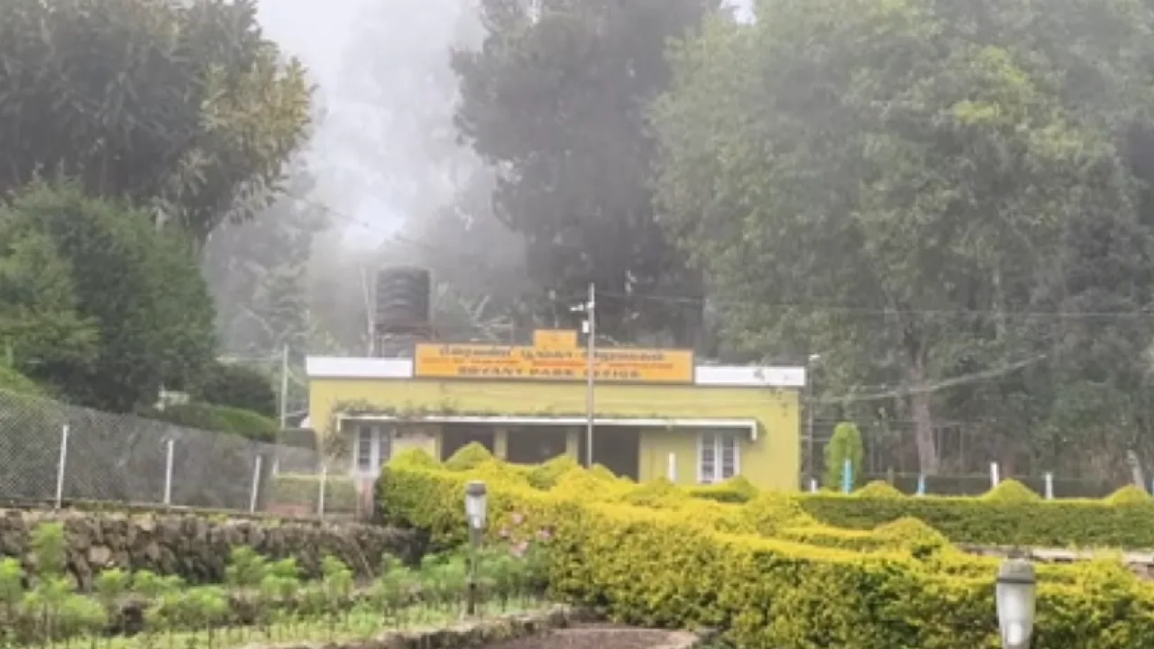 முன்கூட்டியே தொடங்கிய குளிர்காலம் – ரம்மியமாக காட்சிதரும் கொடைக்கானல்!