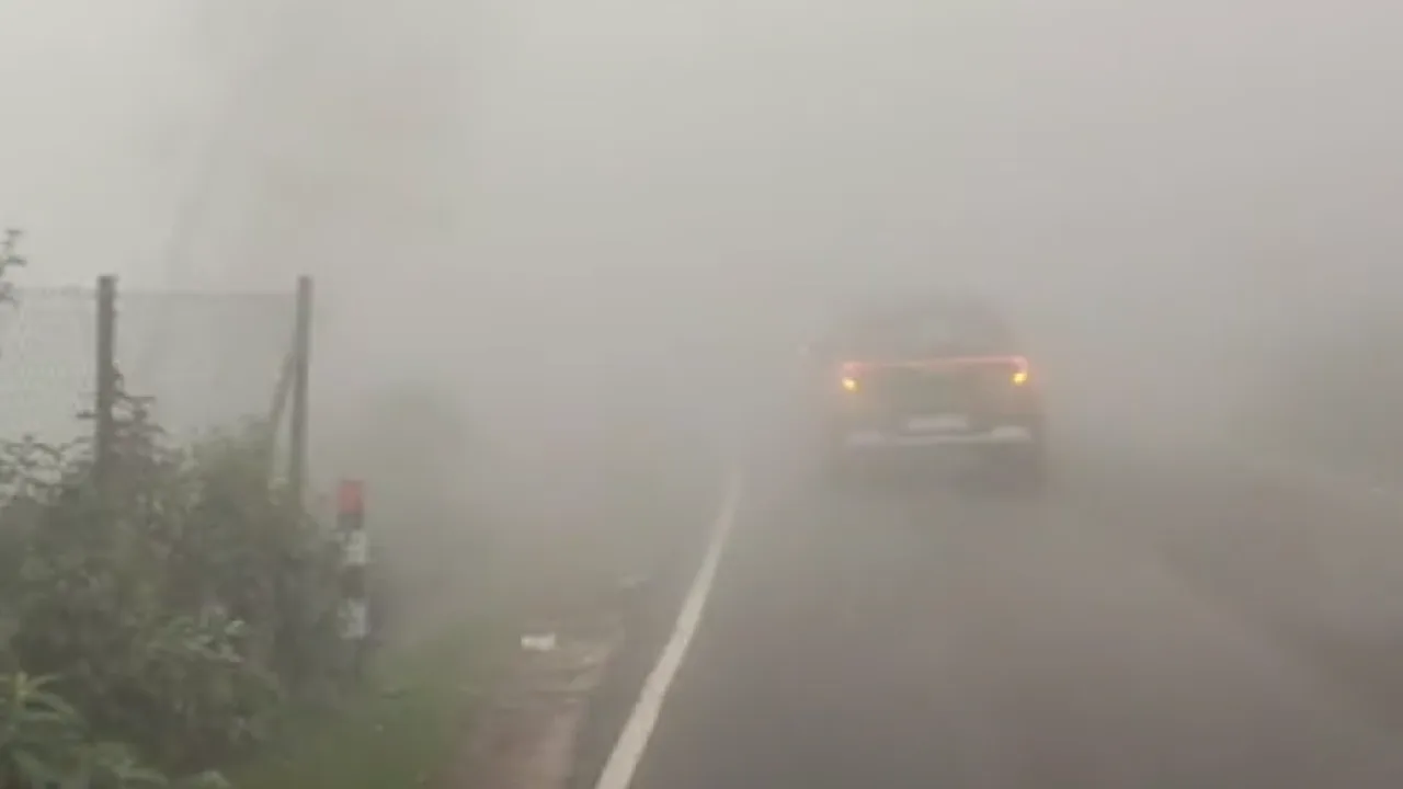 கொடைக்கானல் : மேல் மலை கிராமங்களுக்குச் செல்லும் பிரதான மலை சாலையில் கடும் பனி மூட்டம்!