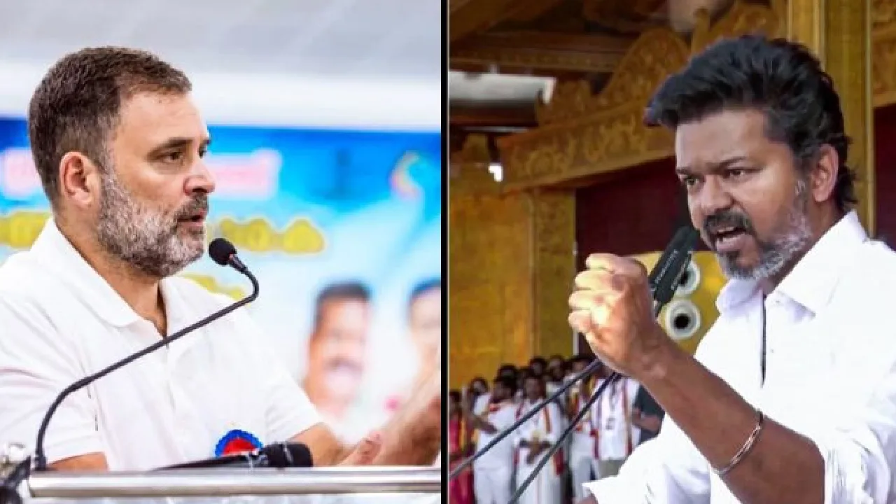 விஜய்யுடன் ஒன் டூ ஒன் நடத்த நிர்வாகிகளுக்கு ராகுல் காந்தி ஆணை?