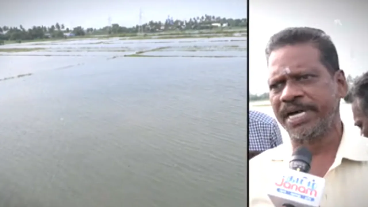 வடியாத மழைநீர் :  கண்ணீர் வடிக்கும் விவசாயிகள்!