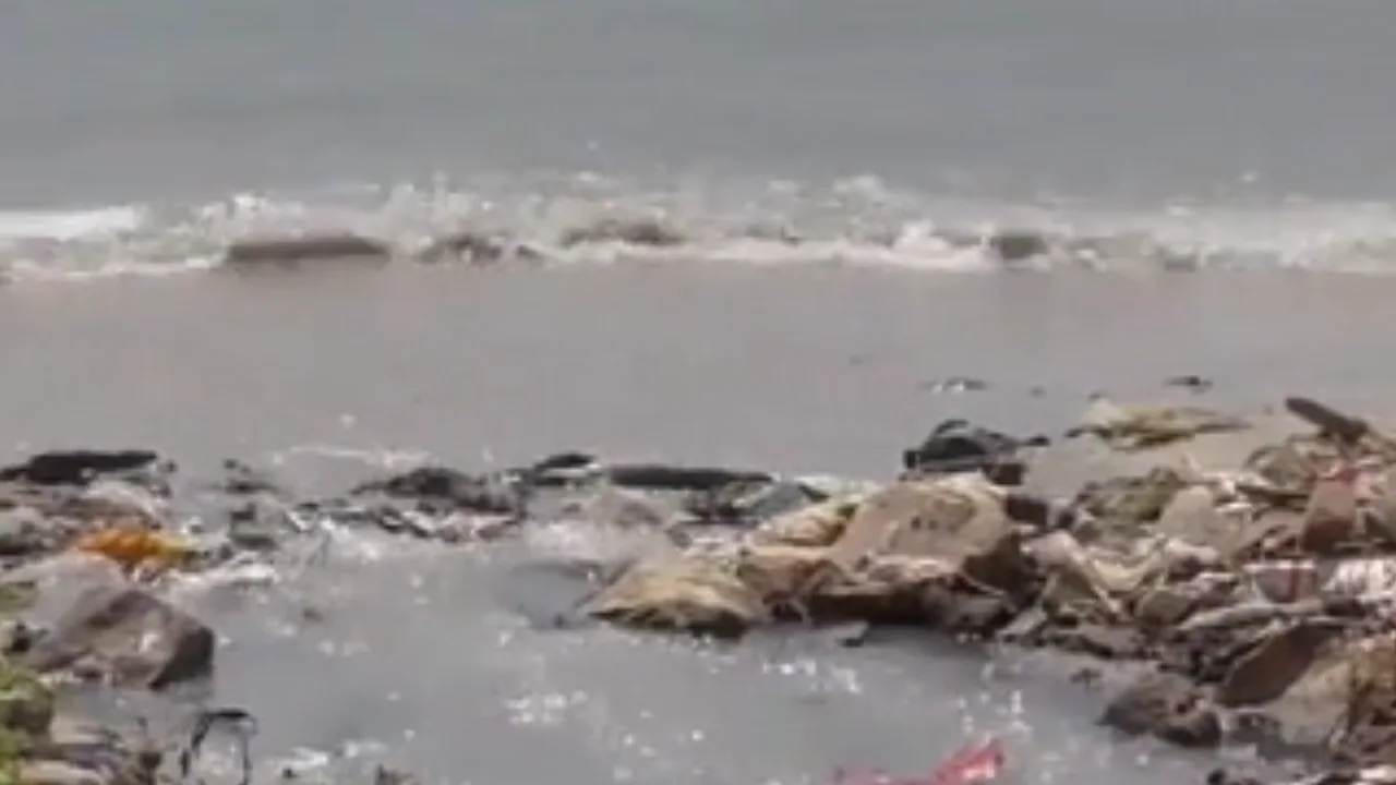 ராமநாதபுரம் : ஆறு போல் சென்று கடலில் கலக்கும் கழிவுநீர்!