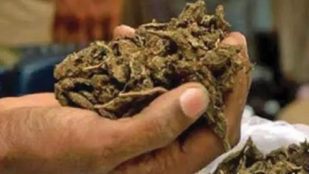 ஆந்திரா : 22 கிலோ கஞ்சா & 37.50 லட்சம் கள்ள ரூபாய் நோட்டுகள் பறிமுதல்!