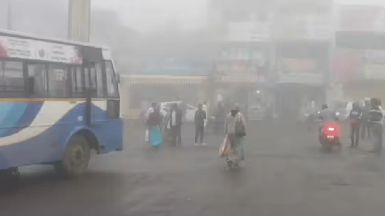 ஏற்காட்டில் பெய்யும் சாரல் மழையால் கடும் குளிர் : மக்கள் பாதிப்பு!