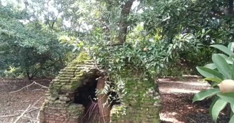 ஊத்தங்கரையில் 3 நடுகற்கோயில் கண்டுபிடிப்பு – தொல்லியல் துறையினர் ஆய்வு!