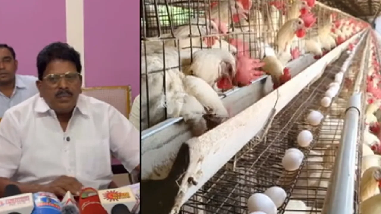 நாமக்கல்லில் முட்டை வியாபாரிகள் சங்க நிர்வாகிகள் ஆலோசனை!