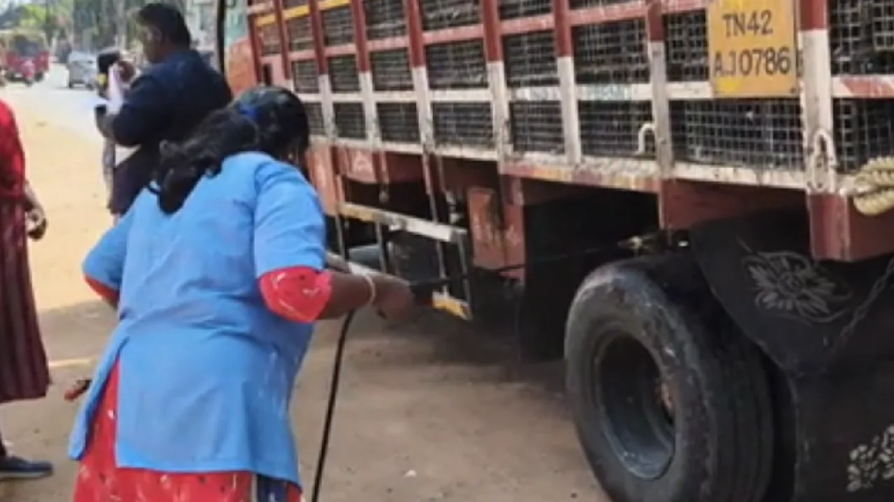 கேரளாவில் பறவை காய்ச்சல் பாதிப்பு எதிரொலி : தமிழக எல்லைகளில் தீவிர கண்காணிப்பு!