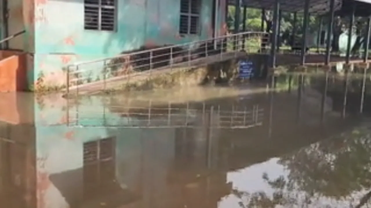 மயிலாடுதுறை : அரசு பள்ளியை சூழ்ந்துகொண்ட மழைநீர்!