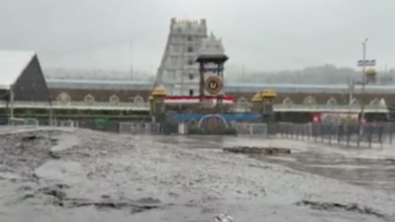 திருப்பதியில் கனமழை : பக்தர்கள் நீண்ட வரிசையில் காத்திருந்து சுவாமி தரிசனம்!