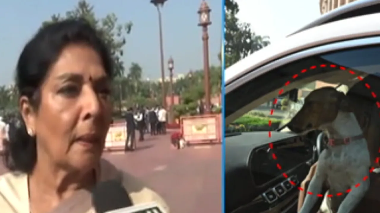 நாய்க்குட்டி விவகாரம் : எம்.பி ரேணுகா சவுத்ரி மன்னிப்பு கேட்க வலியுறுத்தல்!