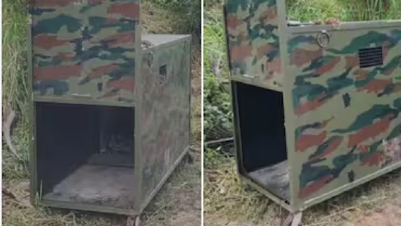 விழுப்புரம் : சிறுத்தையை கூண்டு வைத்து பிடிக்கும் பணி தீவிரம்!