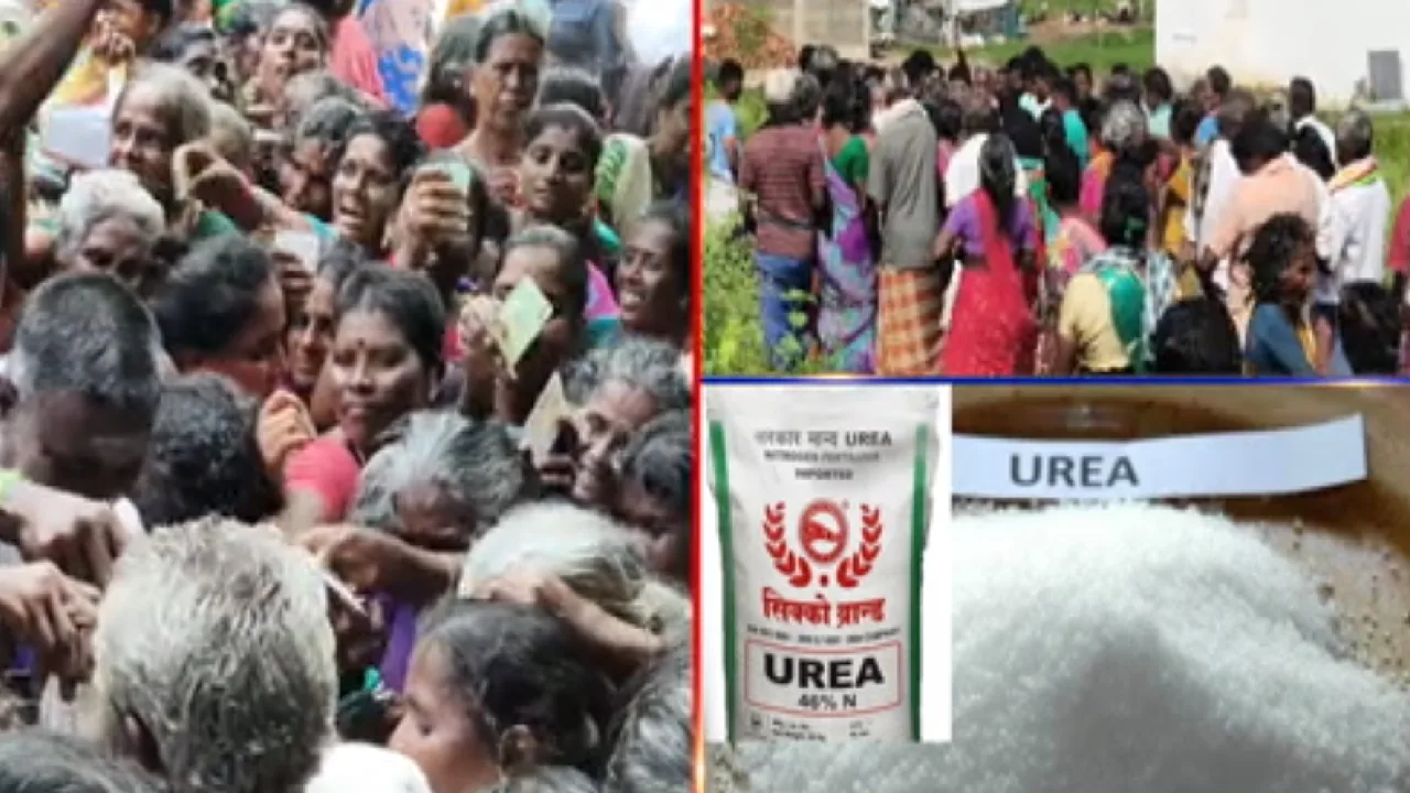 சிவகங்கை : யூரியா உரங்களை பெற நீண்ட நேரம் காத்திருந்த விவசாயிகள்!