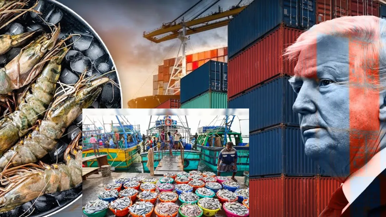 அதிகரித்த கடல் உணவு ஏற்றுமதி : அமெரிக்காவின் வரியை மீறி எழுந்த இந்தியா!