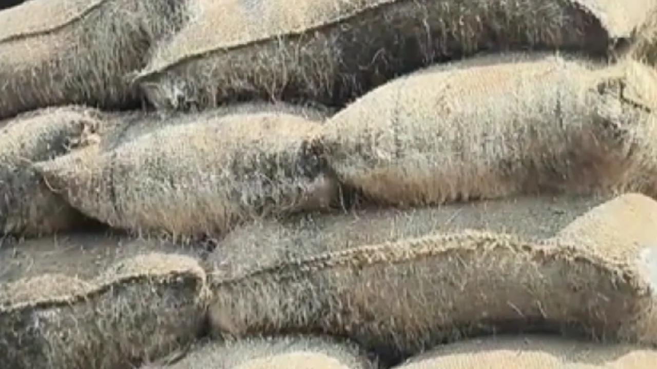 பூசணம் பிடித்து வீணாகும் நெல் மூட்டைகள் – விவசாயிகள் வேதனை!