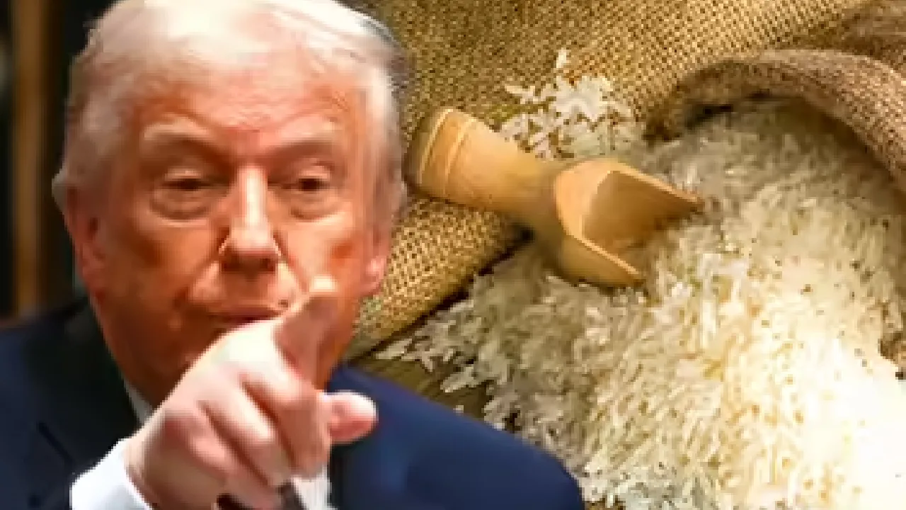 அமெரிக்காவில் இந்திய அரிசி இறக்குமதி செய்யப்படும் விவகாரத்தை கவனித்து கொள்வேன் – அதிபர் டிரம்ப்