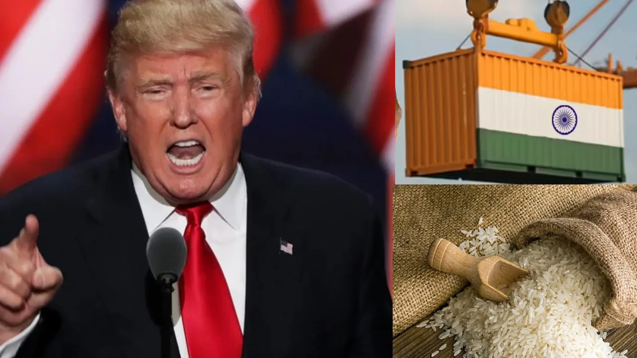 இந்திய அரிசிக்கு கூடுதல் வரி : அமெரிக்க அதிபர் ட்ரம்ப் எச்சரிக்கை பின்னணி?