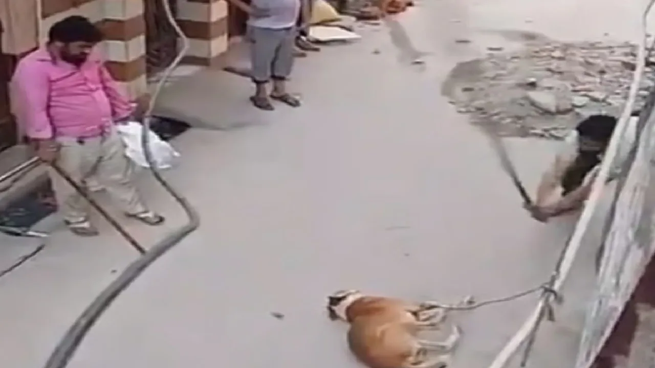 கர்நாடகா : தெருநாயை இளைஞர்கள் அடித்துக் கொன்ற வீடியோ வைரல்!