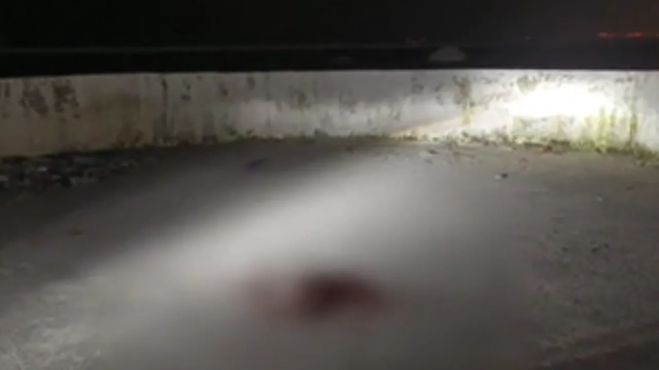 திருவொற்றியூரில் கொலை வழக்கில் தலைமறைவாக இருந்த குற்றவாளி சுட்டுப்பிடிப்பு!