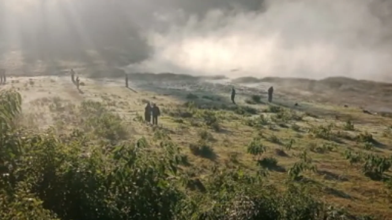 உதகையில் கடும் உறைப்பனி – வெள்ளிப்போர்வை போர்த்தியது போன்ற காட்சி அளிக்கும் பூங்கா!