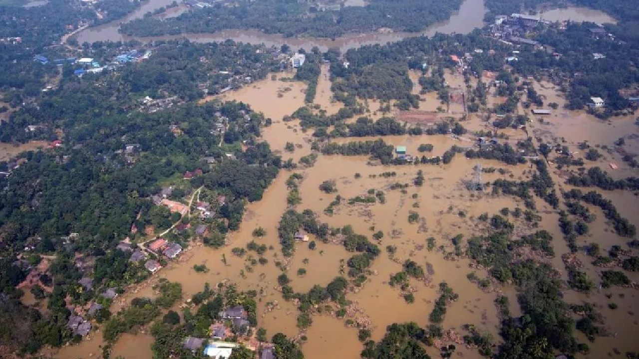 இலங்கை : சுமார் 60,000 ஏக்கர் நெற்பயிர்கள் மழைநீரில் மூழ்கின – விவசாயிகள் கவலை!