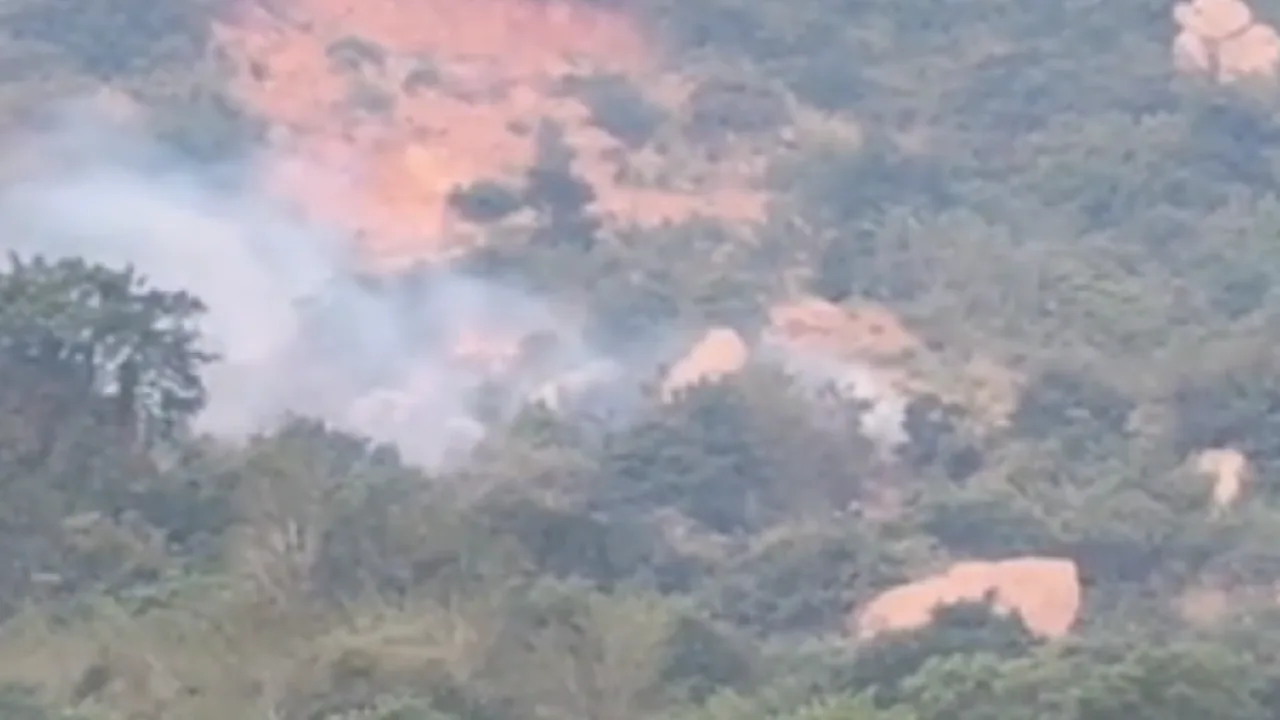 திருவண்ணாமலை கோயில் மலையில் தீ வைத்த மர்ம நபர்கள்!