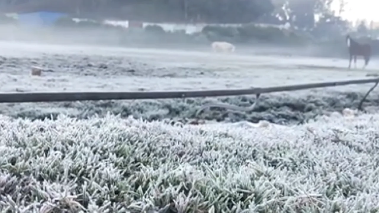 உதகையில் 2வது நாளாக கடும் உறைபனி!