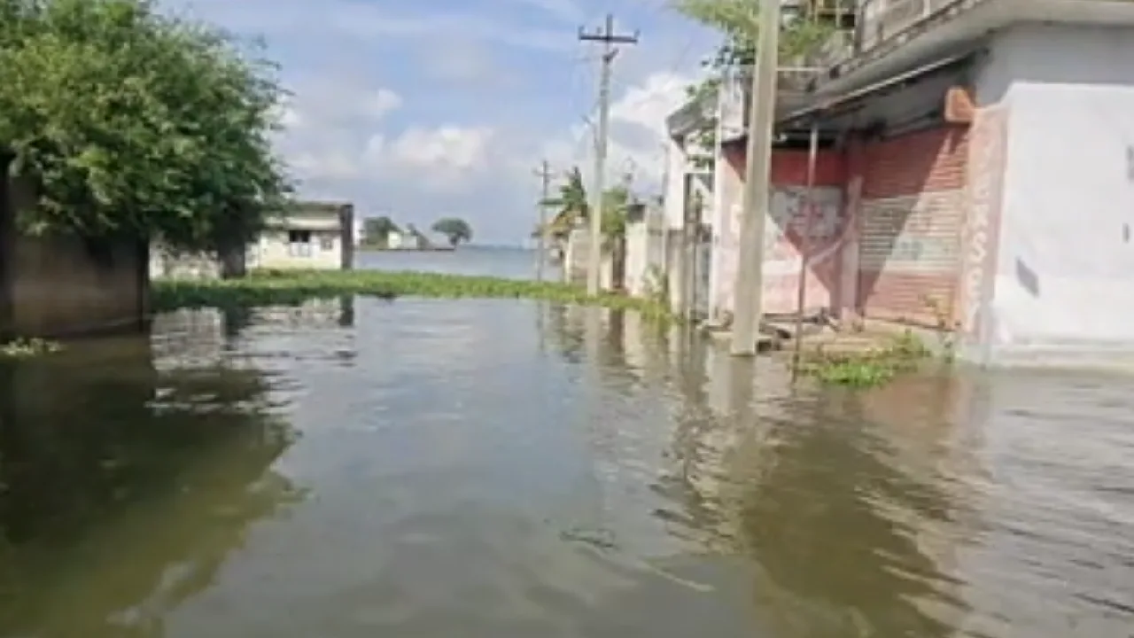 முழு கொள்ளளவை எட்டிய செம்பரம்பாக்கம் ஏரி : குடியிருப்புகளை சூழ்ந்த தண்ணீர்!