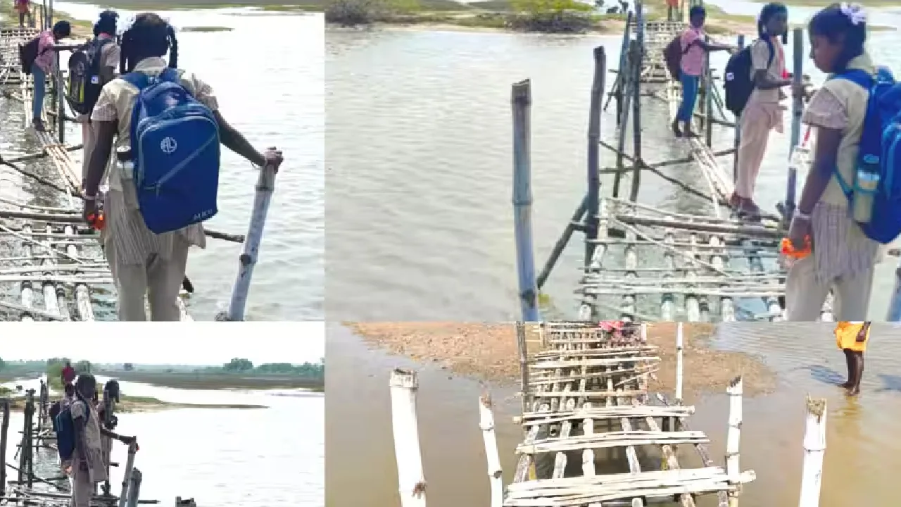 சீர்காழி அருகே சேதமடைந்த மூங்கில் பாலம்!