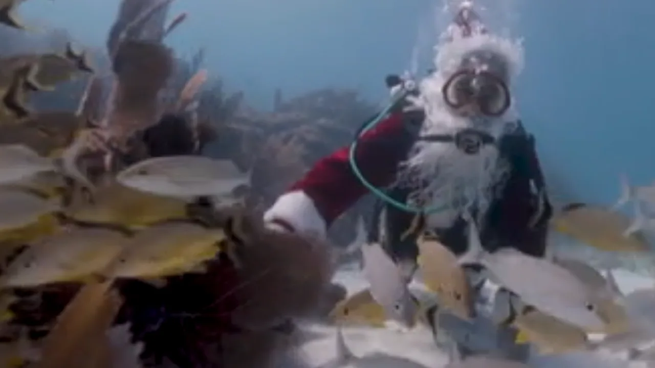 அமெரிக்கா : கடலுக்கு அடியில் கிறிஸ்துமஸ் கொண்டாட்டம்!