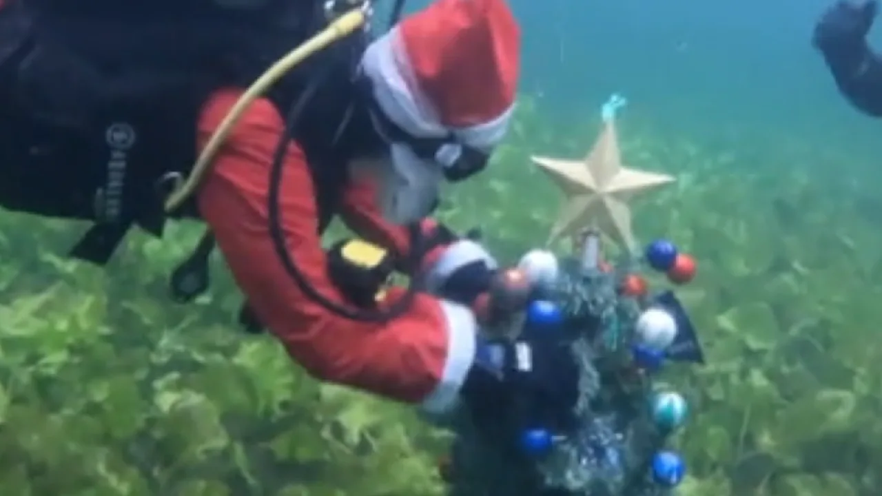 கிறிஸ்துமஸ் பண்டிகை : நீருக்கு அடியில் கிறிஸ்துமஸ் மரத்தை வைத்து அசத்திய குரேஷியா நீச்சல் வீரர்கள்!