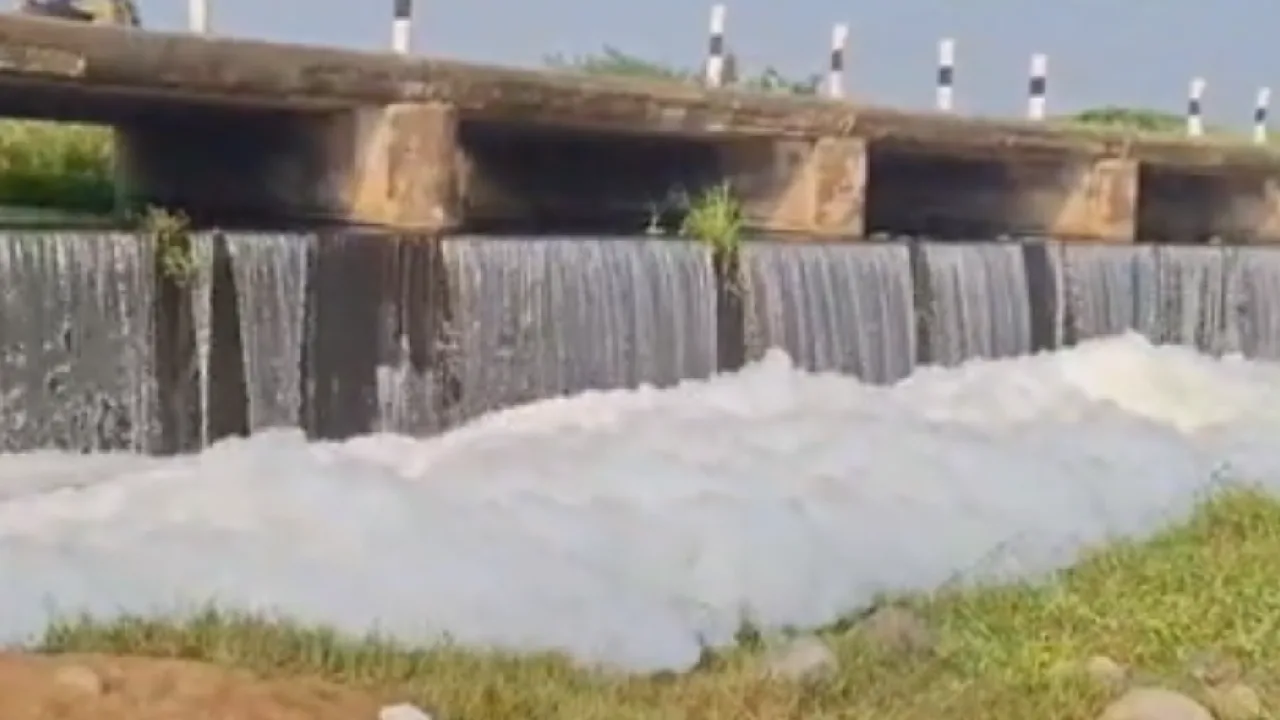 திருப்பத்தூர் : பாலாற்றில் இருந்து வெளியேறும் ரசாயன நுரை!