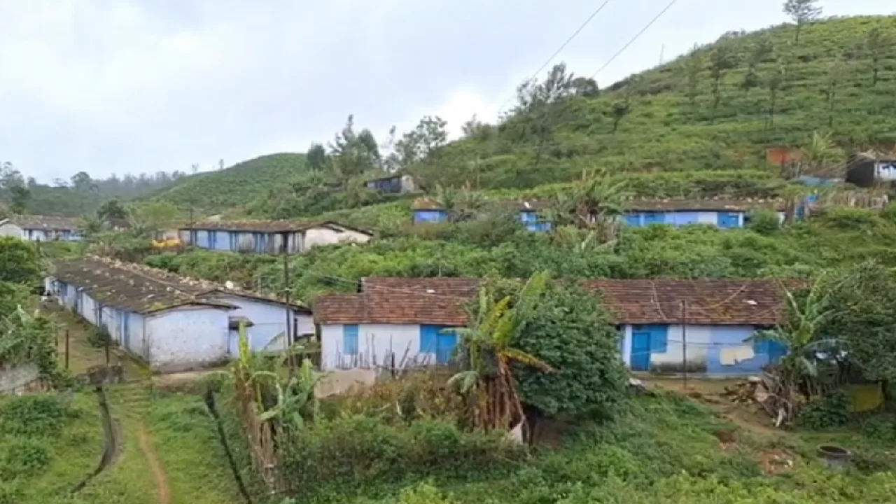 மாஞ்சோலை குடியிருப்பு வாசிகளை அகற்ற முயற்சிக்கும் வழக்கு : மாவட்ட ஆட்சியர் பதிலளிக்க தேசிய SC/ST ஆணையம் நோட்டீஸ்!