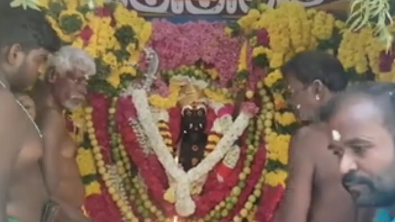 தென்காசி : ஸ்ரீ மாயாண்டி சுவாமி கோயிலில் பனை ஓலை படையல் வழிபாடு!