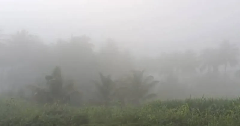 கோவை அன்னூர் சுற்றுவட்டார பகுதிகளில் மூடுபனி!