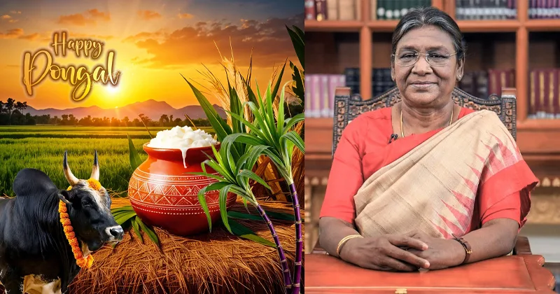 நாட்டு மக்களுக்கு குடியரசு தலைவர் திரௌபதி முர்மு பொங்கல் வாழ்த்து!