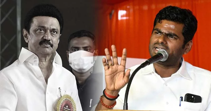 முதல்வர் ஸ்டாலின் ஒரு துரும்பைக் கூட கிள்ளிப்போடவில்லை! – அண்ணாமலை சரமாரி கேள்வி