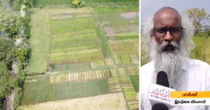 5 ஏக்கரில்1200-க்கும் அதிகமான பாரம்பரிய நெல் ரகங்கள் : இயற்கை விவசாயிக்கு குவியும் பாராட்டு – சிறப்பு கட்டுரை!