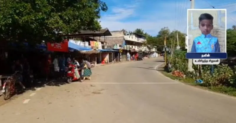 திருவாரூர் அருகே கீரிப்பிள்ளை கடித்ததால் 7 வயது சிறுவன் உயிரிழப்பு!