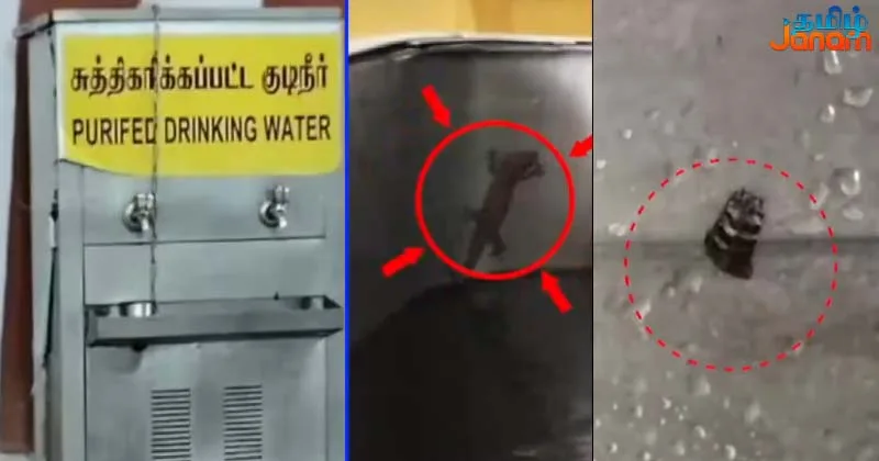 அறநிலையத்துறையின் கட்டுப்பாட்டில் இருக்கும் கருமாரியம்மன் கோயிலின் குடிநீர் இயந்திரத்தில் விஷப்பூச்சிகள்!