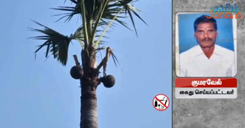 பதநீர் இறக்கிய தொழிலாளியை கள் இறக்கியதாக கூறி பானைகளை அடித்து நொறுக்கிய போலீசார்!