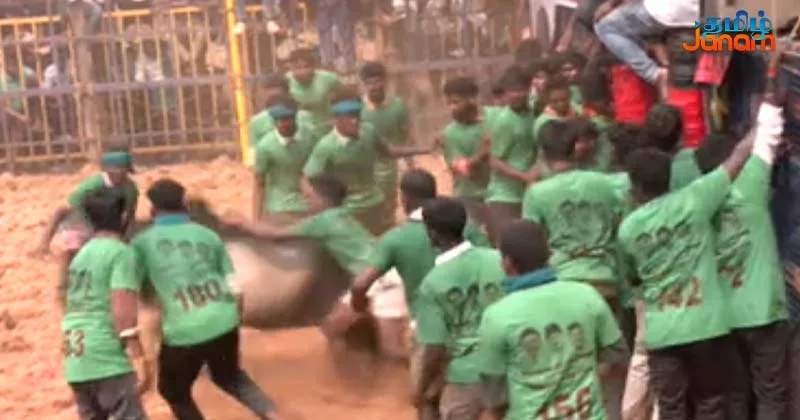 திருச்சியில் முறையான பாதுகாப்பு ஏற்பாடுகள் இன்றி திமுக சார்பில் ஜல்லிக்கட்டு போட்டி!