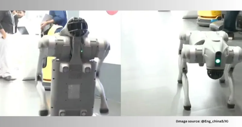 ஏஐ மாநாட்டில் ரோபோ நாய்கள்  : அதன் முக்கியத்துவம் என்ன? – சிறப்பு தொகுப்பு!