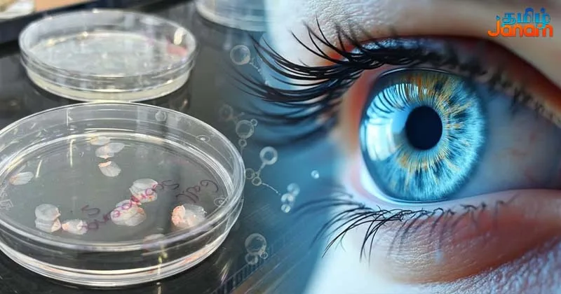 மீன் செதில்களை வைத்து கருவிழி உருவாக்கி அசத்தல் – ஸ்பெயின் நாட்டு ஆராய்ச்சியாளர்கள் சாதனை