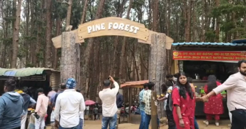 கொடைக்கானல் சுற்றுலாத் தலங்களுக்கு இலவச அனுமதி – தமிழக அரசு அறிவிப்பு!