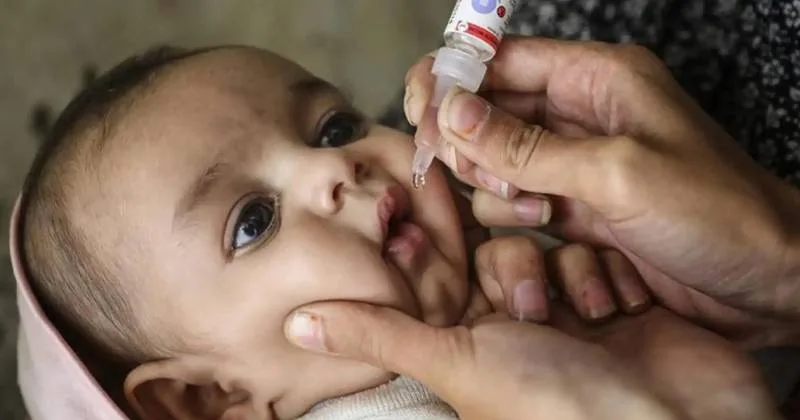 தமிழகத்தில் போலியோ சொட்டு மருந்து முகாம் – 53 லட்சம் குழந்தைகள் வழங்க இலக்கு!